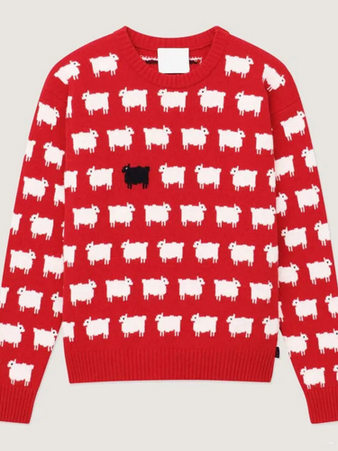 Men Warm and Wonderful Black Sheep Sweater